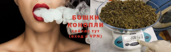 PSILOCYBIN Балахна