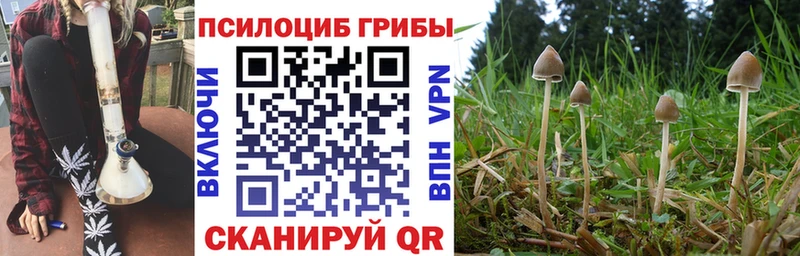 Купить  Сухой Лог  Псилоцибиновые грибы GOLDEN TEACHER 