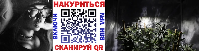 Купить где  Сухой Лог  Каннабис план 